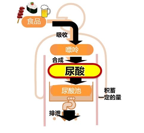 每日四杯咖啡 降低痛风风险的有效防护
