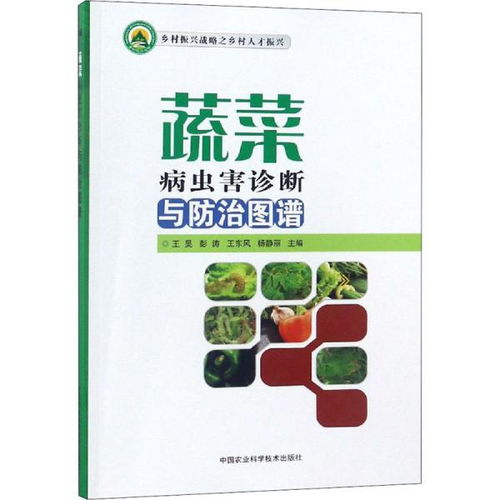 蔬菜病虫害诊断与防治图谱